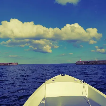 Nautilus Bei Kappeln Ostsee *