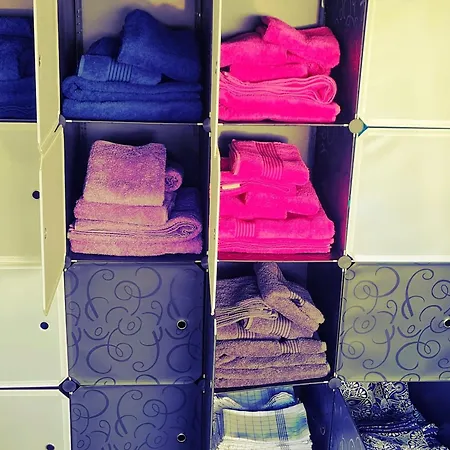 Nautilus Bei Kappeln Ostsee Stoltebüll