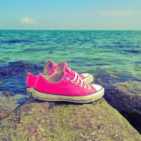 Nautilus Bei Kappeln Ostsee 別荘